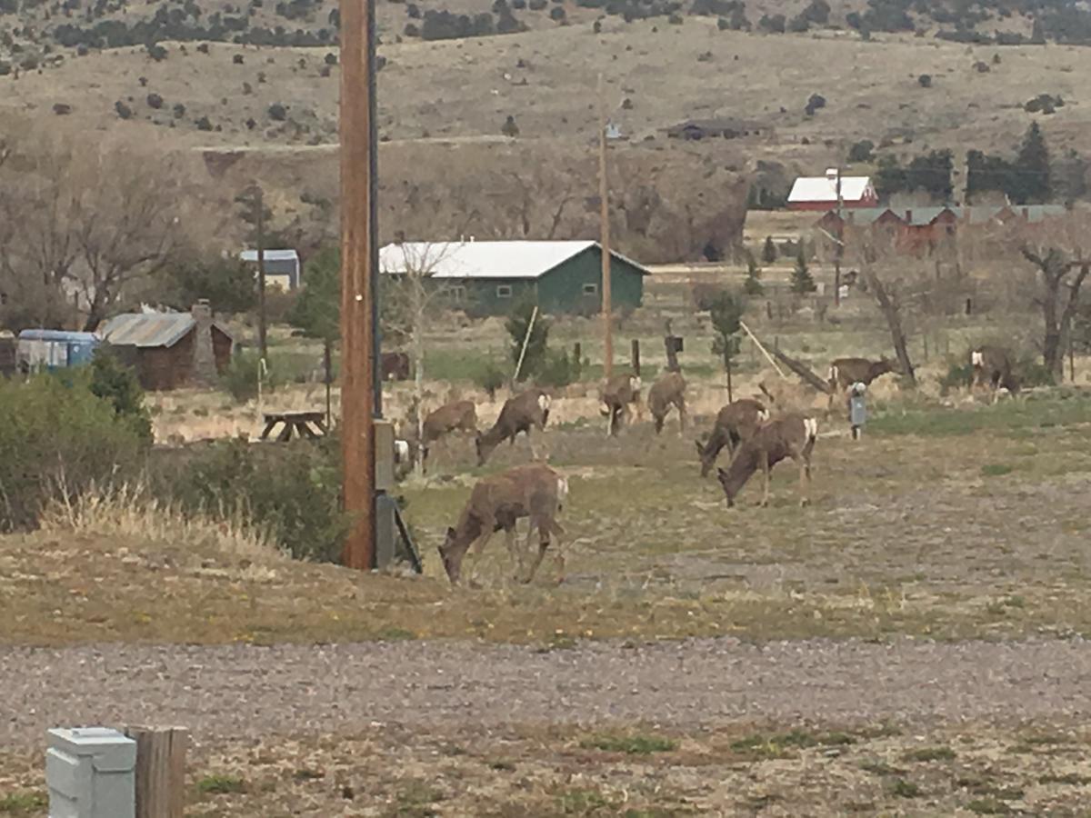South Fork Lodge & Rv Park Colorado Kültér fotó